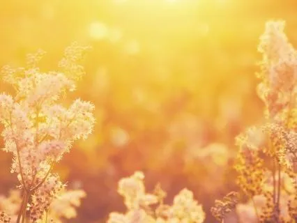 The Child - A Guided Sound Journey Back To Joy