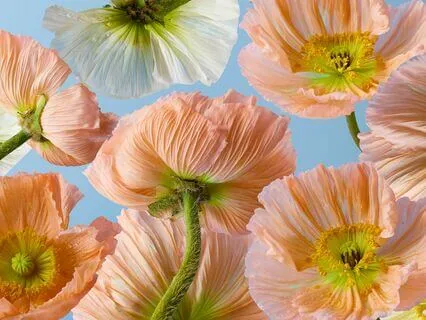 The Choice Is Always Ours