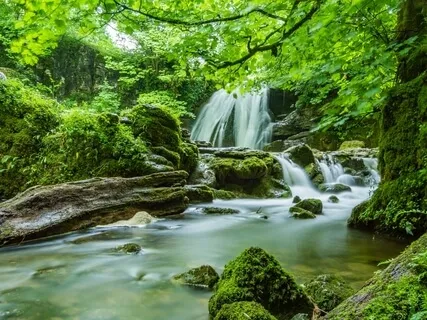 The Choir By The Stream