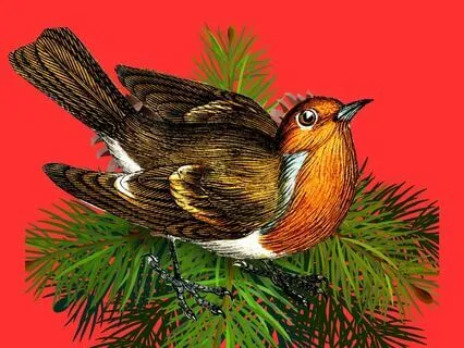 The Christmas Message - A Neworld Sleep Story