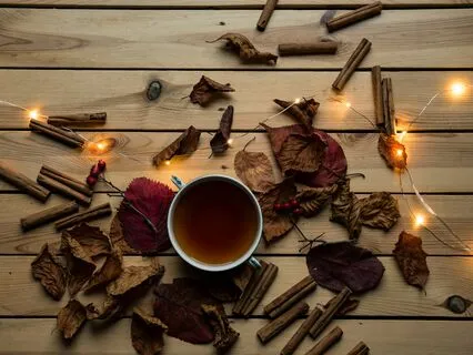 The Cider Shop: A Sleepy Autumn Tale