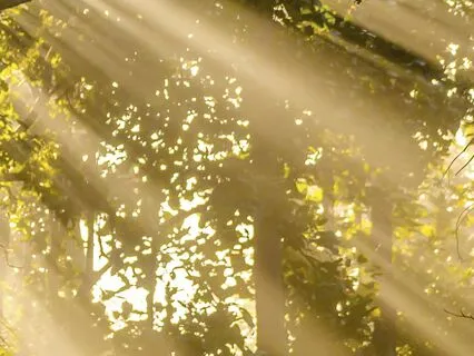 The Circle Of Connection: Meet Your Soul Family