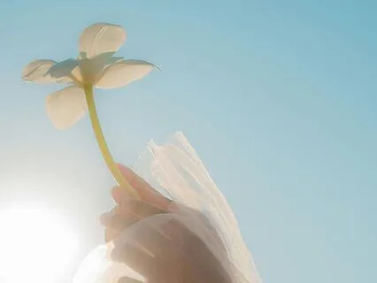 The Circle Of Renewal - Capricorn Full Moon