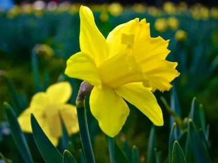 The Clarity After The Muddle - March 20