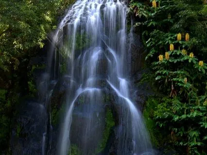 The Clearing Healing Waterfall