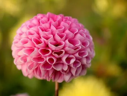 The Cloud of Unknowing: Action and Contemplation