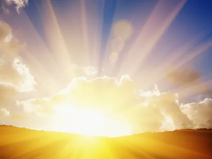 The Coat of Many Colours