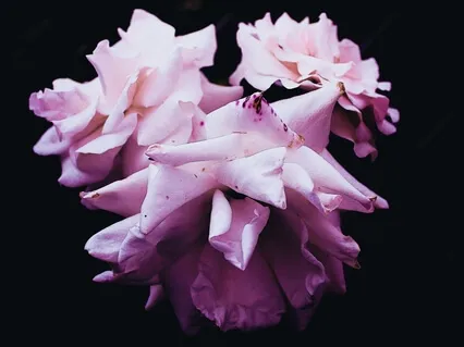 The Colour Of Confidence