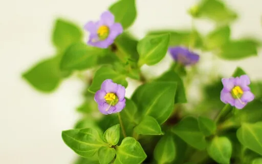 The Comfort Of Deservingness