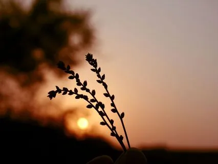 The Compassion Of Rest And The Energetic Ripple Effect