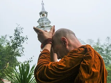 The Compassionate Buddhas Insights - Our Path