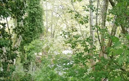 The Complete Breath (Dirgha)