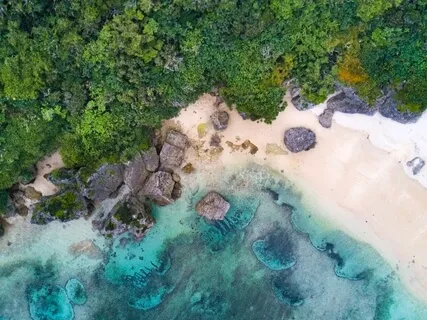 The Complete Stoic 'View From Above'