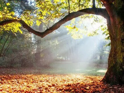 The Computer Game: Bedtime Story