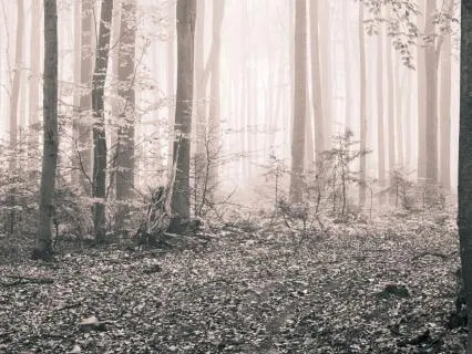 The Confusion Of Being Spiritual