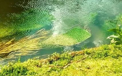 The Connection Between Menopause And Happiness