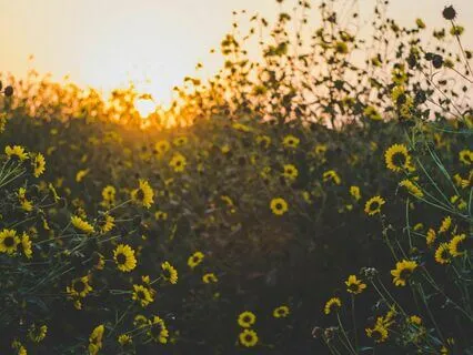 The Constriction In My Throat