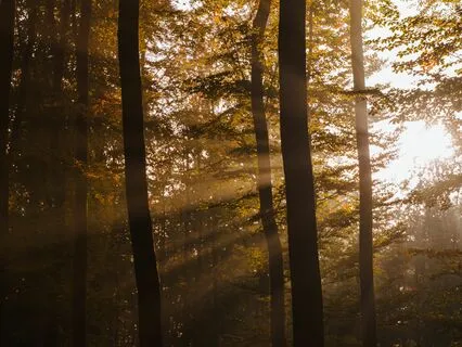 The Continuum Of Love (Short version)