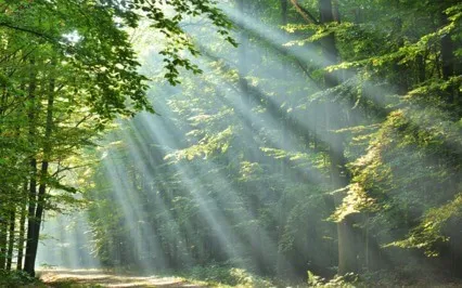 The Controller Is The Controlled, Control Brings Turbulence