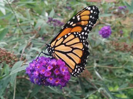 The Core Self - A Guided Inquiry