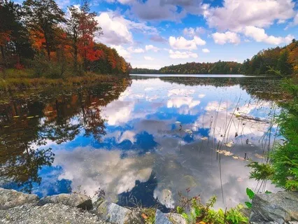 The Cosmic Dance Of Shiva