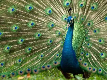 The Cost Of Being Someone