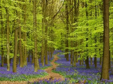 The Cottage - A Guided Visualisation