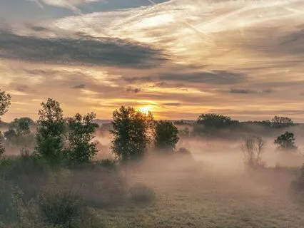 The Countryside Quest: Bedtime Tale