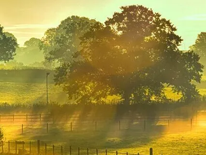 The Countryside Walk (Long Meditation Bedtime Story)