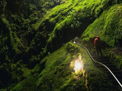 Build Bravery And Overcome Fear Step By Step