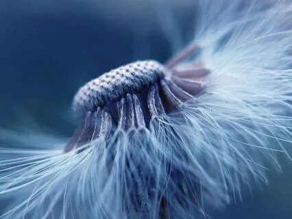 The Courage To Be Soft In A Hard World