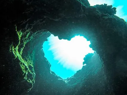 The Courage To Choose Love Over Fear