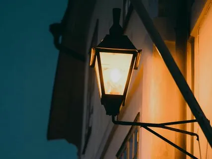 The Cozy Bay Bookshop