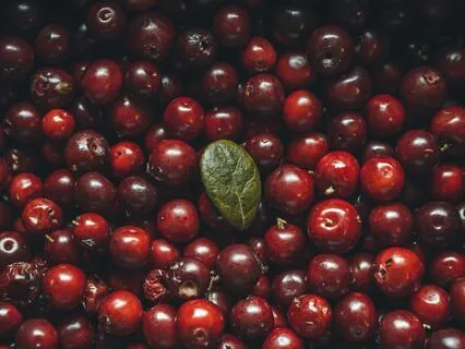 The Cranberry Cottage: Cozy Sleep Journey