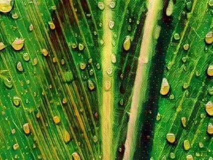 The Creative Force Within