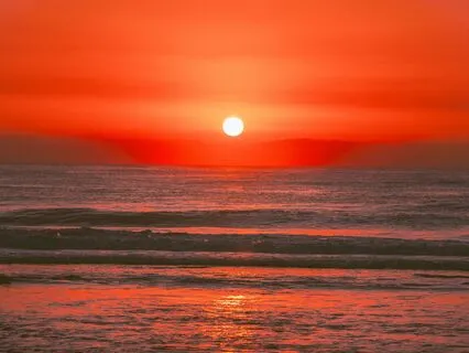 The Creative Power Of Your Root Chakra