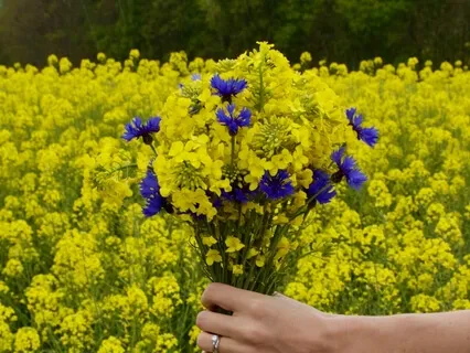 The Creative Process That Is You