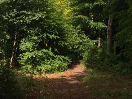 The Crystal Cave: A 7-Minute Meditation