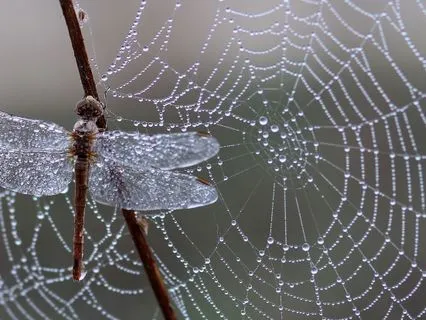 The Cure For Loneliness: True Love & Connection