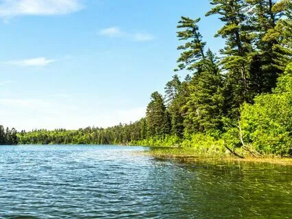 The Curious Aliens: Bedtime Story