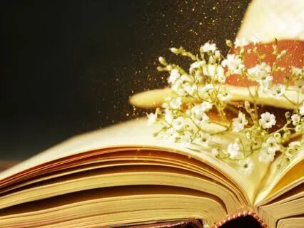 The Curious Bookstore: Guided Sleep Story Meditation