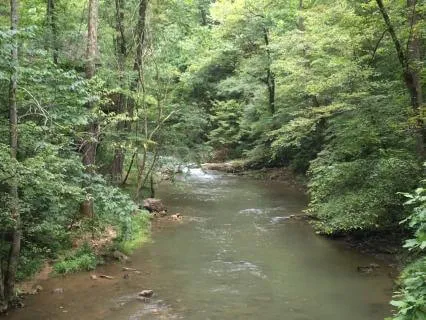 The Current, The River, And The Rain