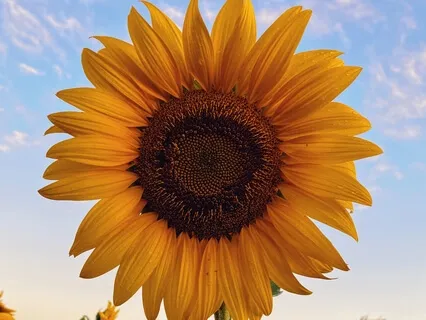 The Curse Of Comparisonitis