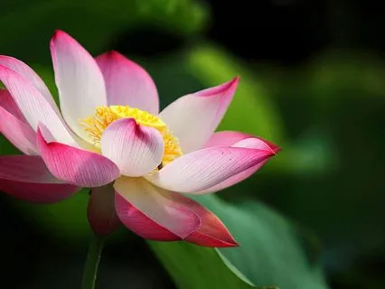 The Curse Of Knowledge: Let Go Of Everything You Know