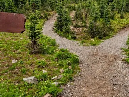 The Daily Choice - Expansion Or Contraction