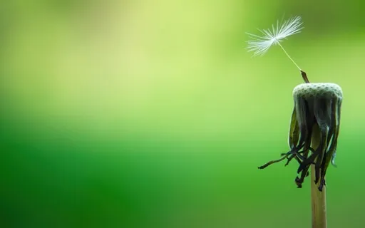 The Daily Dose: Day 12 Of 30