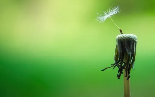 The Daily Dose: Day 14 Of 30