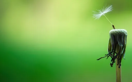 The Daily Dose: Day 17 Of 30