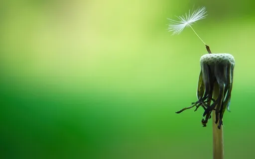 The Daily Dose: Day 18 Of 30