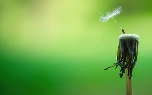 The Daily Dose: Day 2 Of 30 